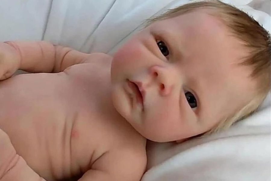 Polêmica com Bebês Reborn: Pessoas buscam direitos e serviços públicos para bonecos hiperrealistas