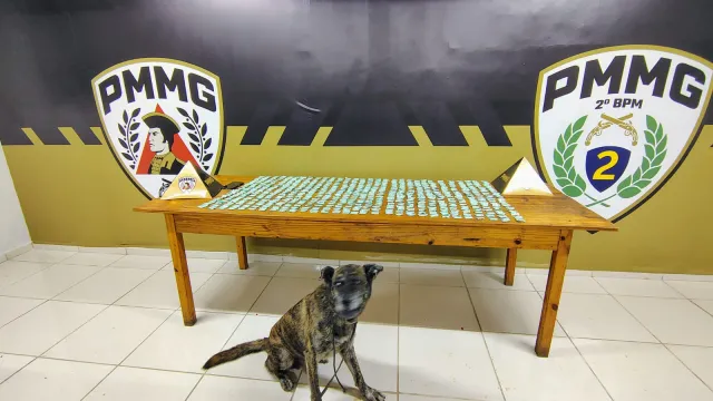 Polícia apreende 600 papelotes de cocaína em área de mata no Bela Vista, em São João Nepomuceno