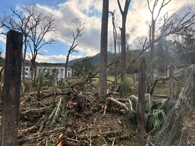 TEMPORAL HISTÓRICO DEIXA RASTRO DE DESTRUIÇÃO E PREJUÍZOS EM PIAU